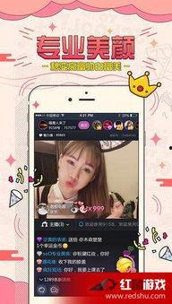 福利视频在视频在线观看