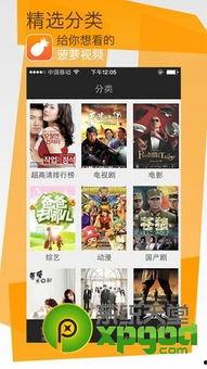 福利视频在线菠萝,解锁快乐生活新方式